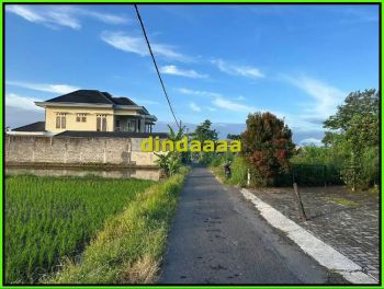Tanah Murah Jl Damai View Sawah, Tanah Dijual Jogja