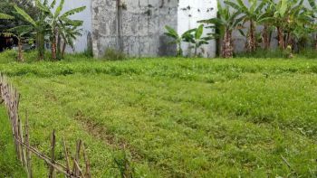 DIJUAL TANAH SANGAT MURAH DI SOETTA HARGA DI BAWAH NJOP