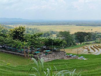 Tanah View Bukit Menoreh Jogja Dekat Kopi Ampirono, Siap A J B