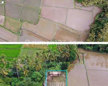 Tanah di Singapadu Gianyar