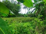 thumbnail-tanah-di-singapadu-gianyar-2