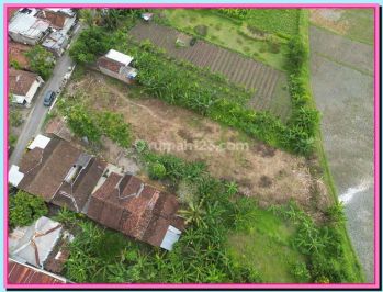 Tanah Murah Pleret Jogja, Dekat Kampus Uad 4