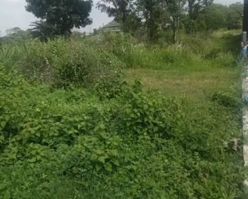 Tanah murah di jogja pinggir aspal lokasi berbah timur AAU adisucipto
