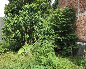 Dijual cepat murah BU tanah strategis di pejaten jakarta selatan