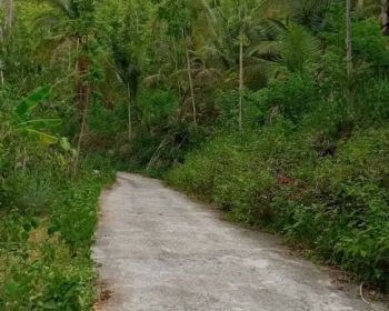 DI JUAL TANAH MURAH DI BAPANGSARI PURWOREJO JATENG