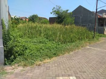 Dijual Cepat Tanah Premium Siap Bangun Suhada Tlogosari Bebas Banjir