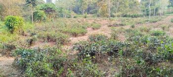 Tanah murah dekat kota purwakarta