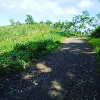 Tanah murah ngargoyoso Kemuning Karanganyar