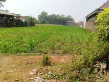 Kavling Badan Boulevard Super Mutah