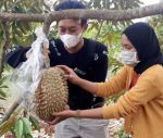 thumbnail-tanah-kavling-agrowisata-durian-0