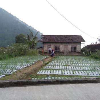 Dijual tanah datar cocok buat vila dikawasan wisata