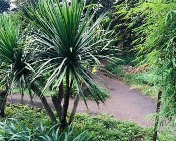 DiJual Tanah Murah Bersertifikat Hak Milik Pribadi Luas 93 m2 Jakbar