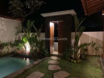 Brand new Private Villa in Ubud area for rent