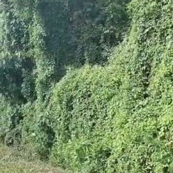 DI JUAL TANAH DI PERERENAN BALI