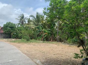 Selangkah Kampus UAD Wates, Rekomendasi Bisnis Kos