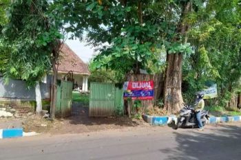 Tanah Luas Murah Potensial utk Hotel, Bank di Tengah Kota Probolinggo