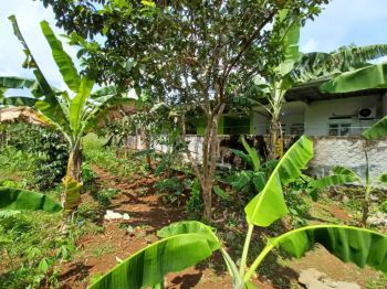 Jual Tanah Murah, SHM Milik Sendiri, NEGO SANTAI