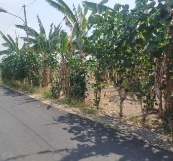 Tanah 240m Karangasem ums solo