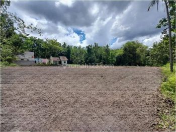 Dekat Umy Ringroad, Tanah Jogja Layak Kost Lt 117 M2