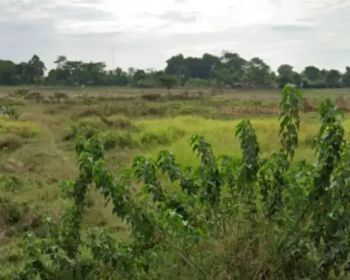 Tanah 100 Hektar Untuk Industri Di Wilayah Kawasan Industri Subang