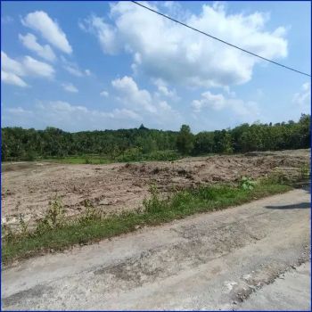 Dekat Kopi Ampirono Jogja, Tanah Murah SHM Pas Hunian Tua