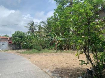 Dekat Kampus Uad Wates, Rekomendasi Bisnis Kos