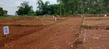 Kavling murahe pooll di Kandri Gunungpati 5 menit Kampus Unwahas