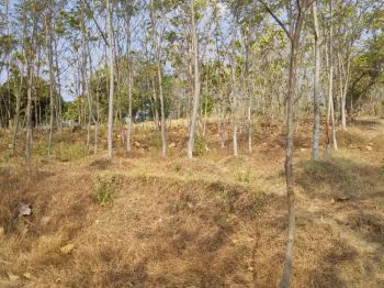 Dijual tanah milik masuk kawasan Aerocity