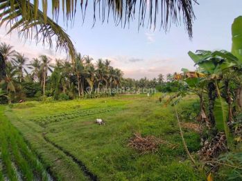 Di Jual Tanah Premium di Ubud View Sawah