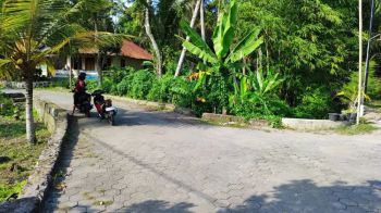 Dijual Tanah Pekarangan di plumbon tempel sleman