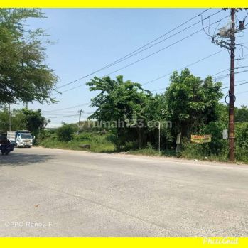 Tanah letak strategis dekat jalan Majapahit,jalan depan cor lebar,Tronton bisa