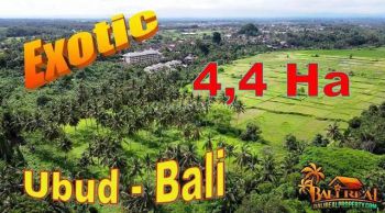 Potensial di Sentral Ubud Luasan Besar 44,000 M2