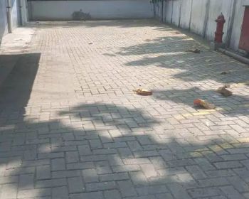 Disewakan Gudang Pasar Minggu Jakarta Selatan