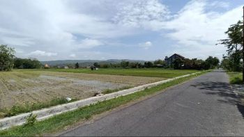 200 Meter Jl. Wonosari. Tanah Murah Bantul; View Sawah