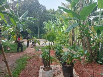 Jual Tanah 770 M2 di jl aselih dekat Setu Ciganjur jaksel