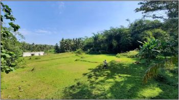 Dekat Exit Toll Sentolo Kulon Progo, Peruntukan Investasi, Shm Pecah