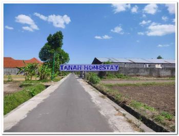 Area Jl Kaliurang Km 9, Peruntukan Homestay