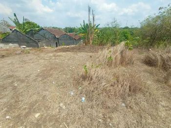 Diskon Akhir Tahun Dijual Tanah Luas 229 Murah di Gamping