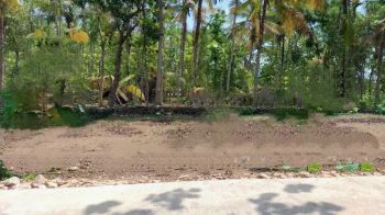 Tanah Murah 95jt Barat SMAN 1 Bambanglipuro Bantul Free Pajak