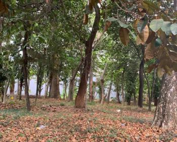 Kavling Pondok Indah, lokasi bagus luas datar kotak