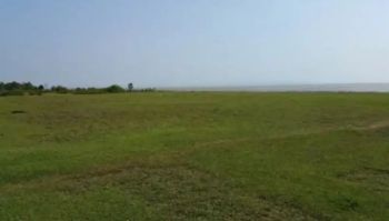 Tanah Premium 4 Hektar an Di Panimbang Tanjung Lesung Banten