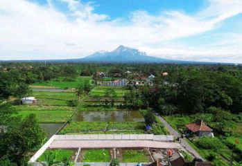 Dekat Kampus Uii Jogja Cocok Untuk Hunian View Merapi Dan Sawah