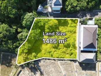 Dijual Tanah 14 Are Di Pantai Pabean Ketewel Ocean View Akses Lebar Area Quite