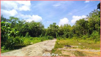 Dijual Tanah Kulonprogo Harga 100jutaan
