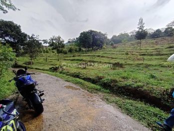 Tanah di Jual Cijeruk Bogor Gunung Salak