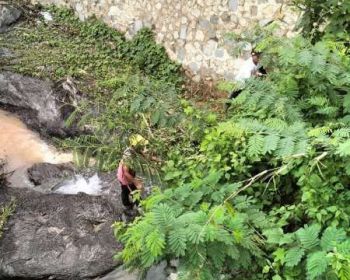 Aset Kavling Vila & Kebun Duren Terbesar Bogir Timur