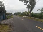 thumbnail-sewa-tanah-sawah-1400m-ld-14-akses-aspal-jl-pakem-kalasan-0