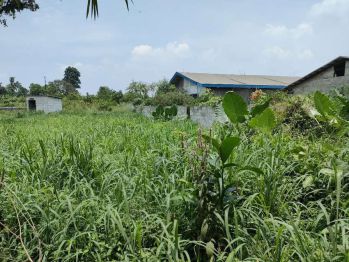 Gudang di jual lt 14,000m lb 1500 m lokasi di pinggir jl pemuda raya