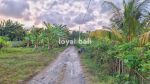 thumbnail-tanah-land-with-good-area-in-jembrana-bali-1