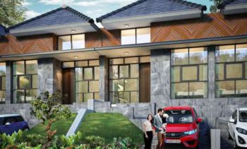 Golden Flower Legok Tipe Chamomile